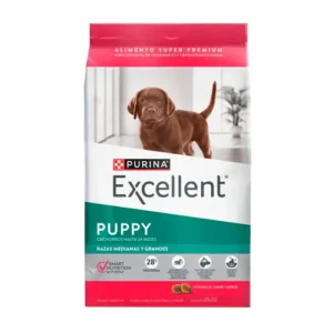 Excellent Puppy Raza Mediana & Grande