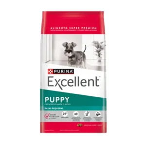 Excellent Puppy Raza Pequeña