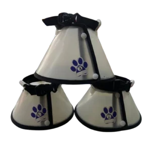 Collar Isabelino para gato