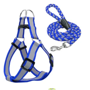 Arnés y Correa Reflectiva PA18L Talla L