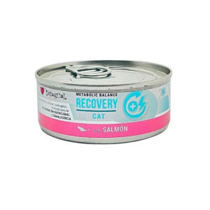 Disugual Recovery Gato Lata sabor a Salmon 85 Gramos