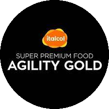 Agility Gold