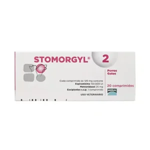 Stomorgyl 2 sobre x 10 Tabletas