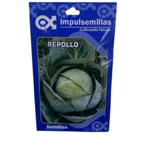 Semilla Repollo Bola Verde