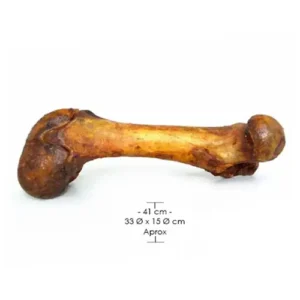 Hueso Natural Fémur de res