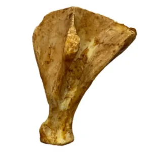 Hueso Natural Paleta de Cerdo