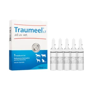 Traumeel ad us. vet. Ampolla 5mL x 1 Unidad