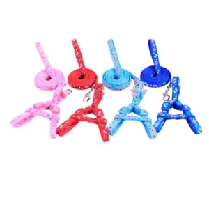 Traílla y Arnés Con Diseños PA19 M