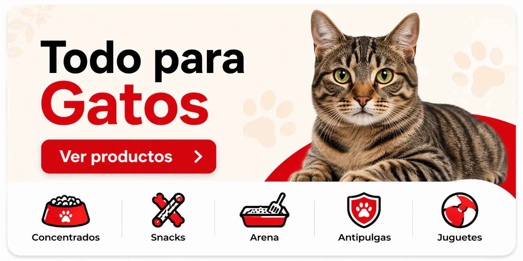 todo-para-gatos
