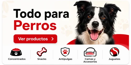 todo-para-perros